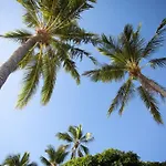 Airlie Sun & Sand Motel Accommodation #4
