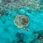 Shingley Beach Resort - Whitsundays