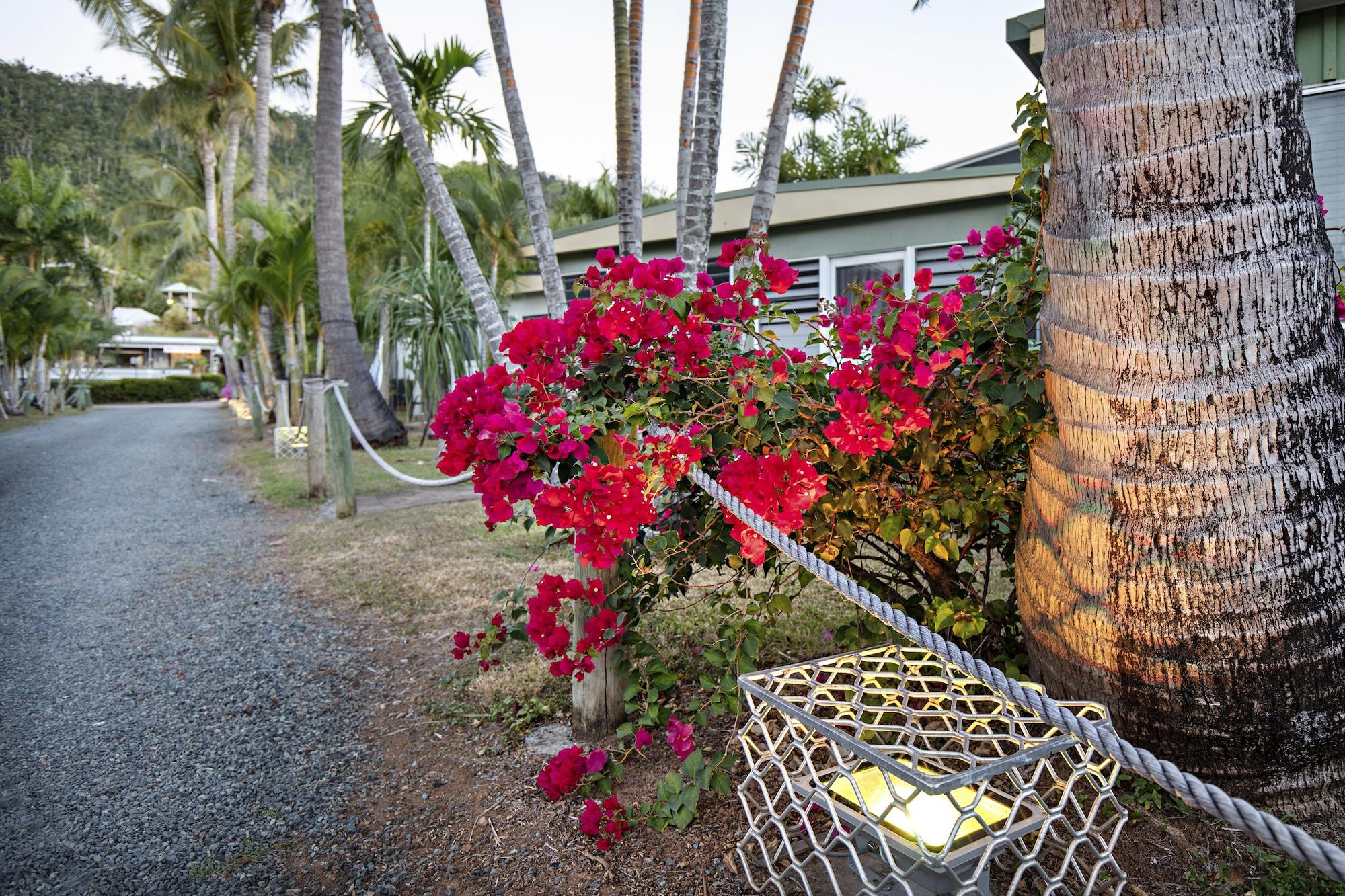 Holiday park Bush Village 3*