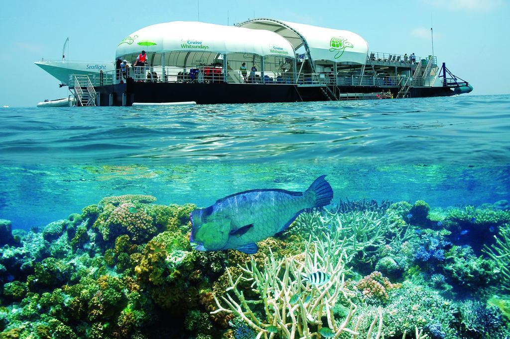 The Sebel Whitsundays 4*