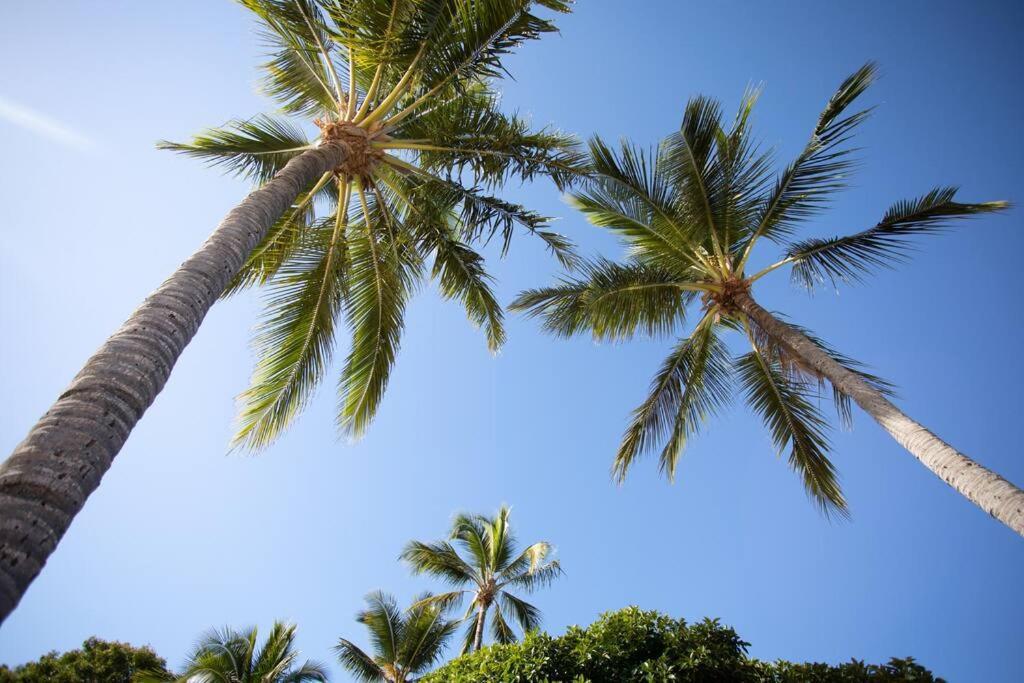 Airlie Sun & #4 * Airlie Beach