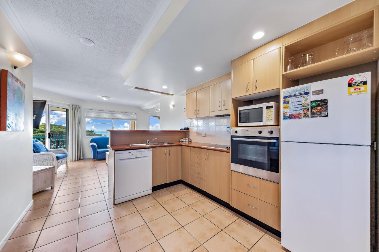 Shingley - Whitsundays Airlie Beach