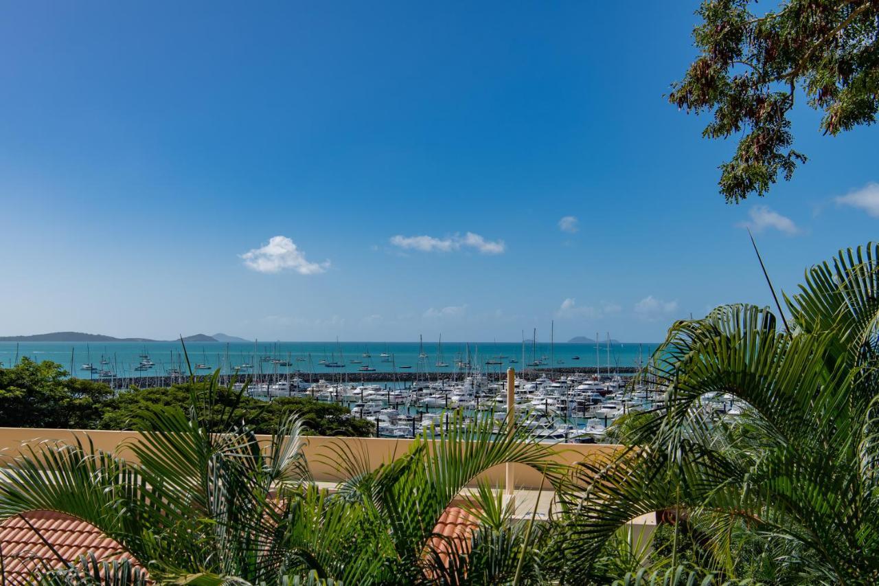 Shingley - Whitsundays Resort Airlie Beach