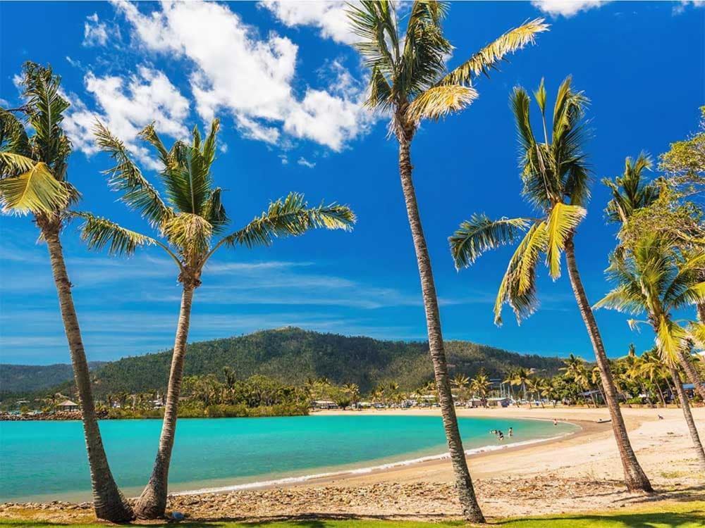 Allure 11- Airlie Airlie Beach