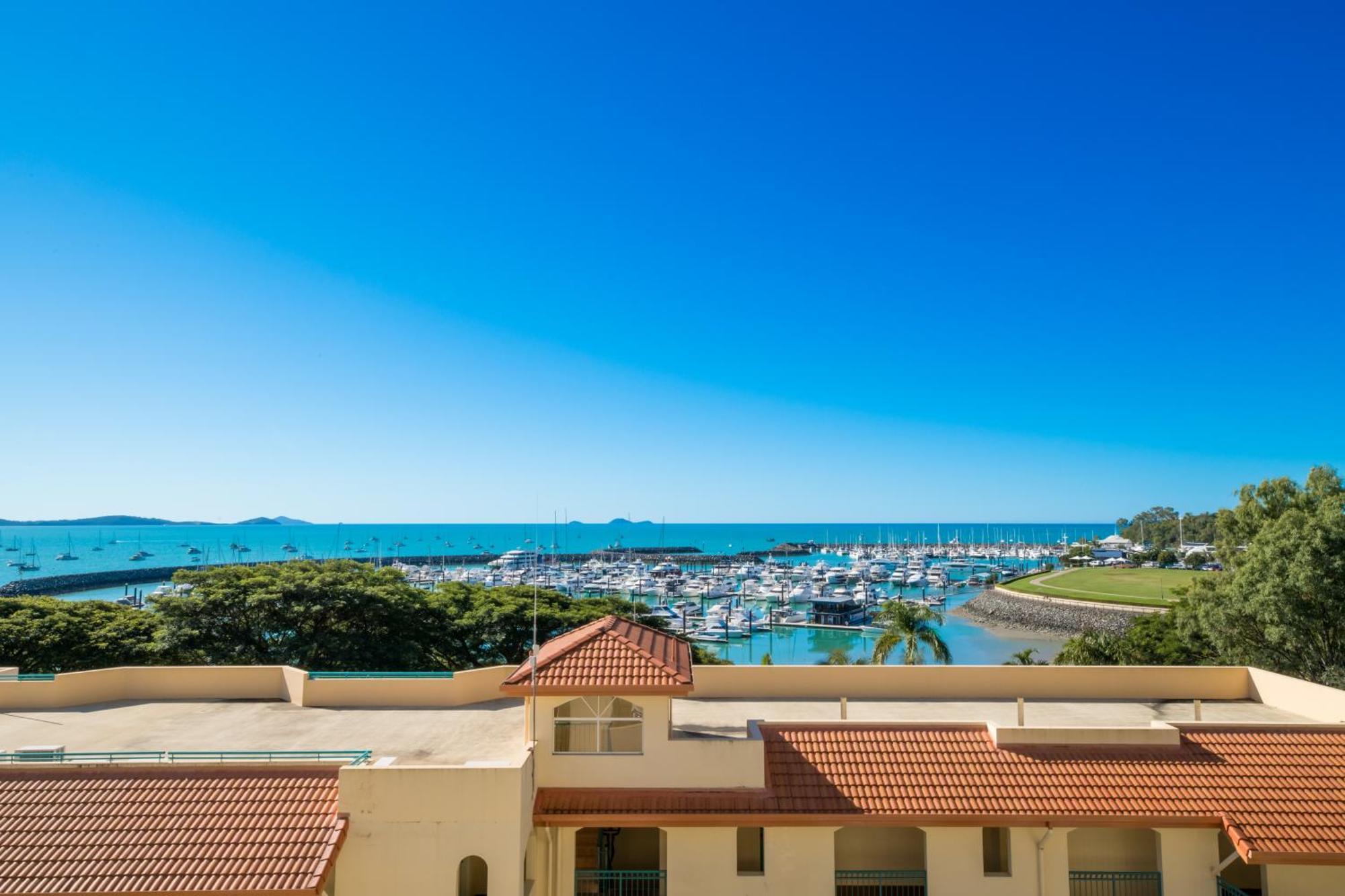 Shingley - Whitsundays Airlie Beach
