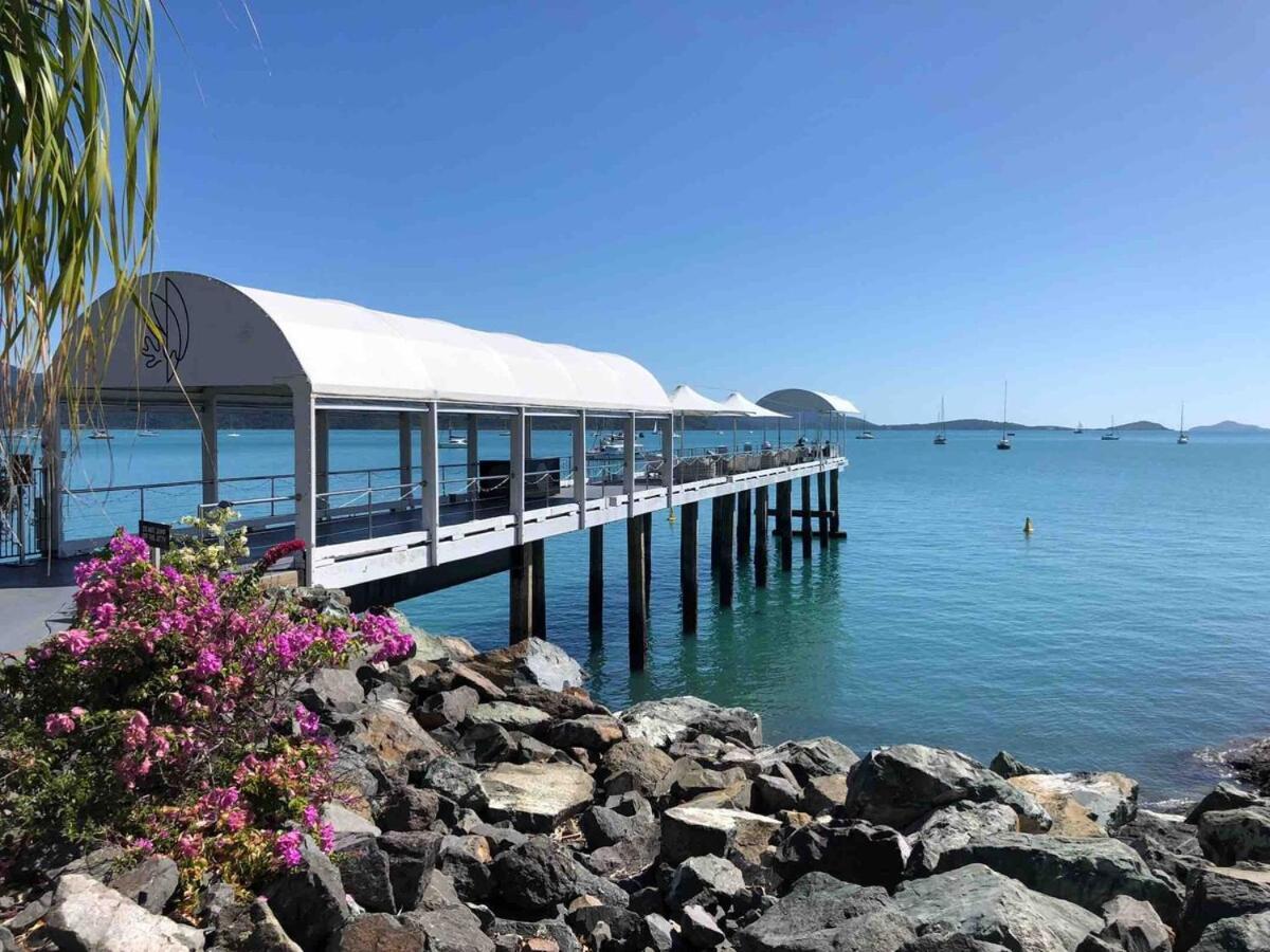 Ocean Views 1br With Full Kitchen No Steep Hills