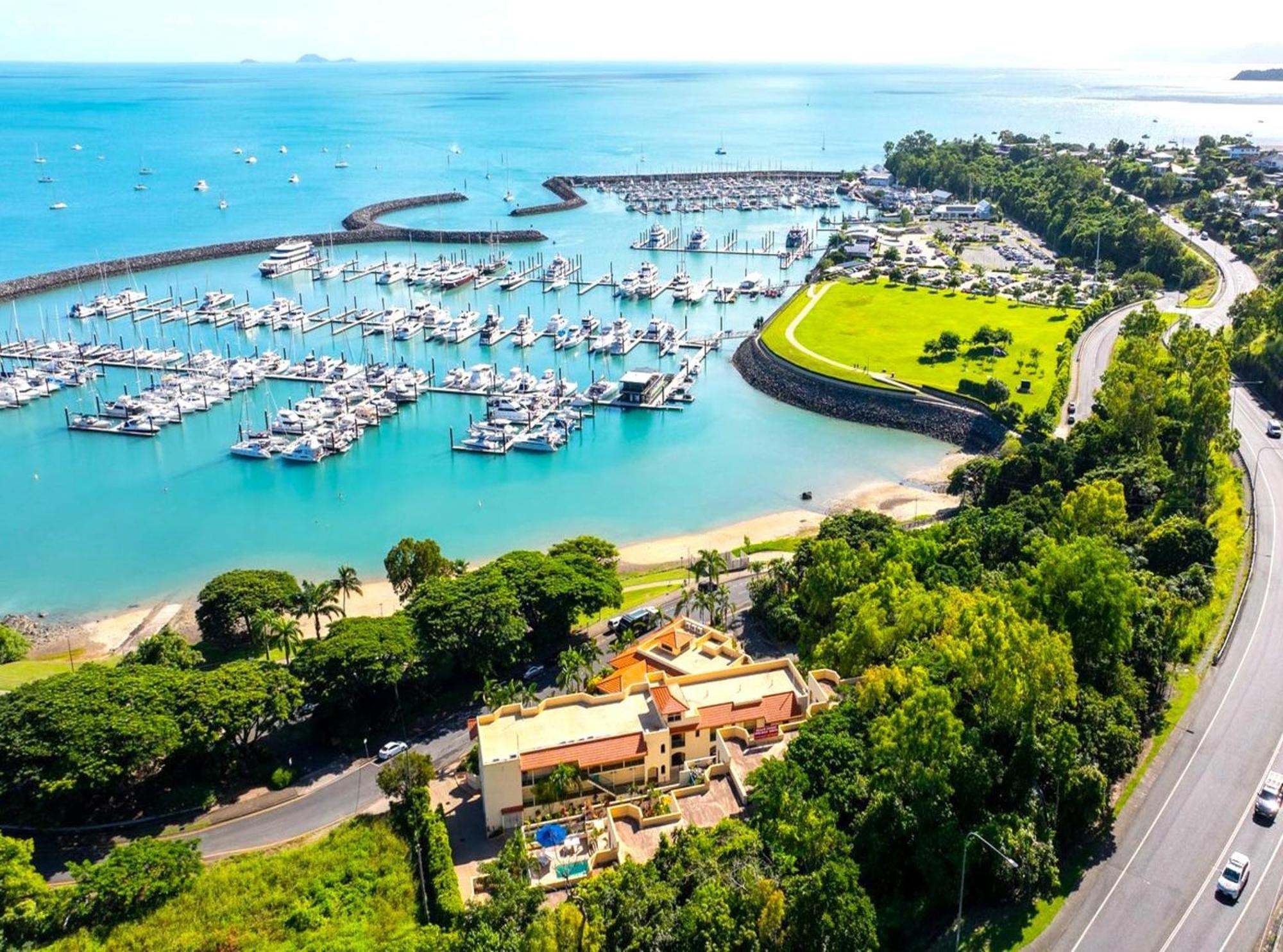 Shingley - Whitsundays Airlie Beach