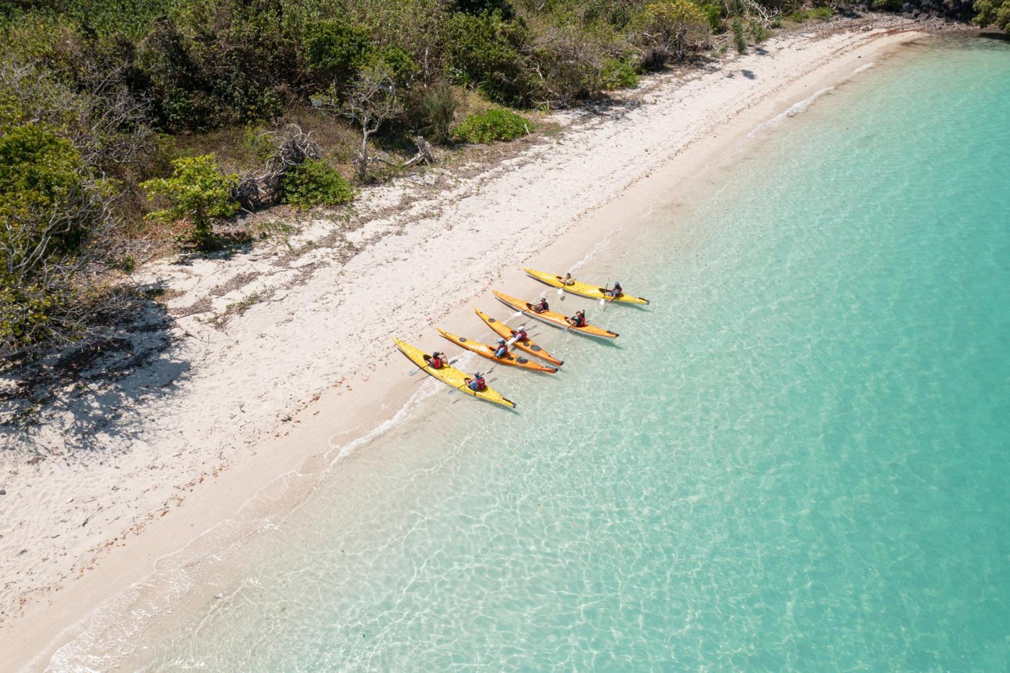 Shingley - Whitsundays