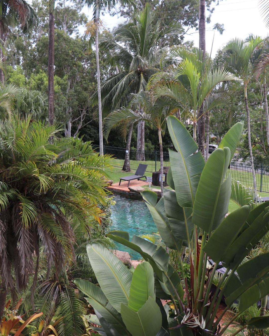 Motel Colonial Palms Motor 3*