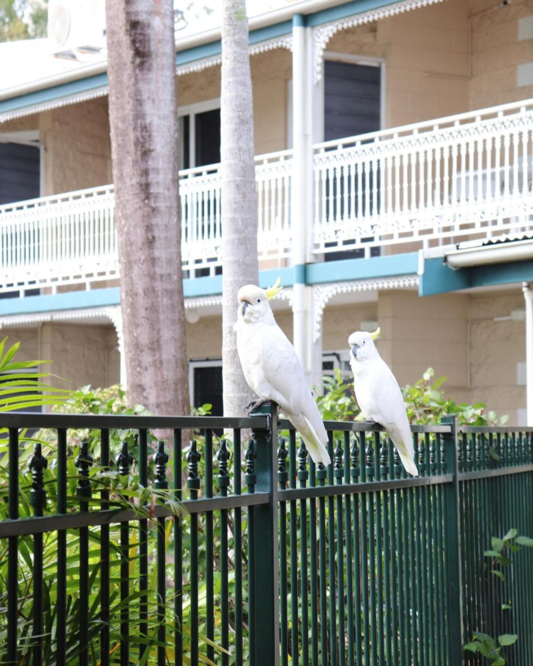 Colonial Palms Motor 3* Airlie Beach