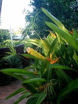 Holiday home Unit 1 Sunbird On Lamond *