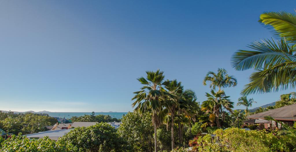 Resort At Water's Edge Airlie Beach