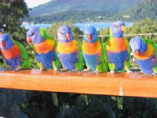 Unit 1 Sunbird On Lamond *