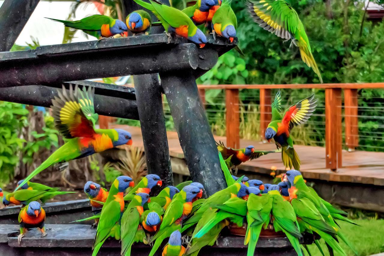Holiday park Discovery Parks - Airlie