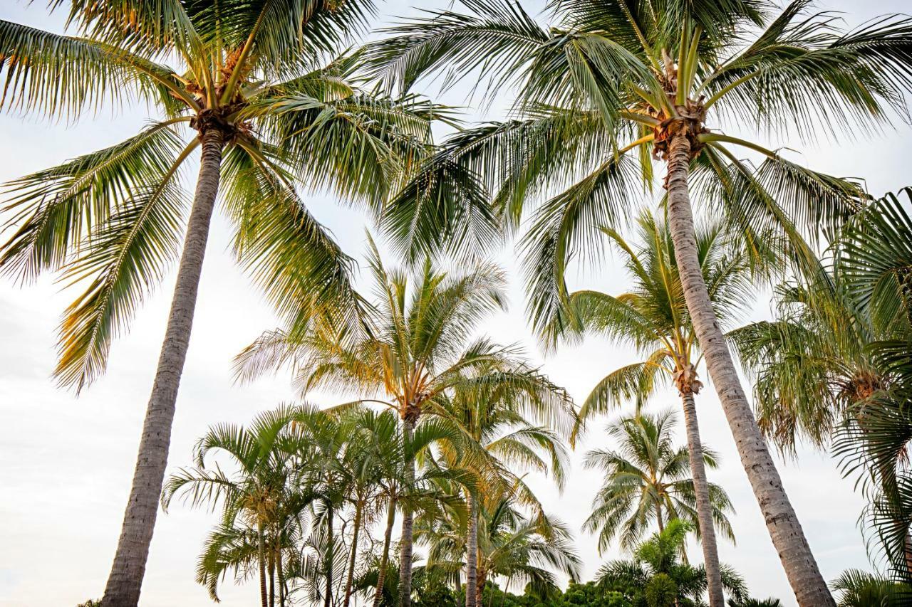 Bush Village Airlie Beach