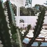Whitcactus Villa
