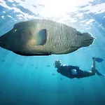 Whitsunday Explorer 2 Nights Small Ship Cruising By Explore Group