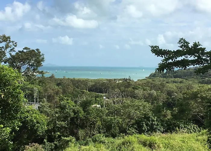Island Dreams