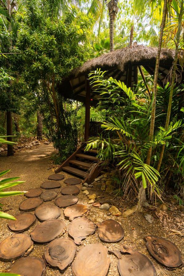 Paradise Cove (adults Only) Airlie Beach