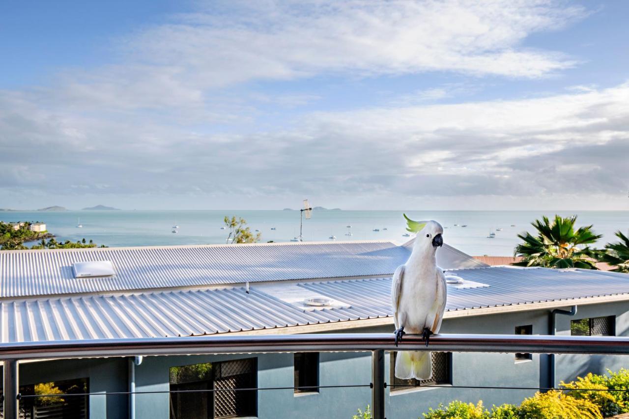 Toscana Village Alojamento Airlie Beach