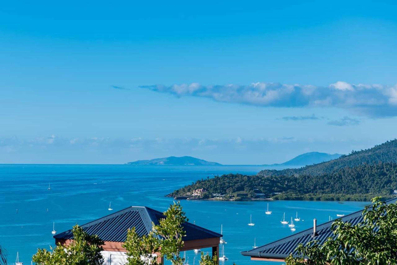 Apartment Amazing Penthouse With Whitsundays Lifestyle Airlie Beach