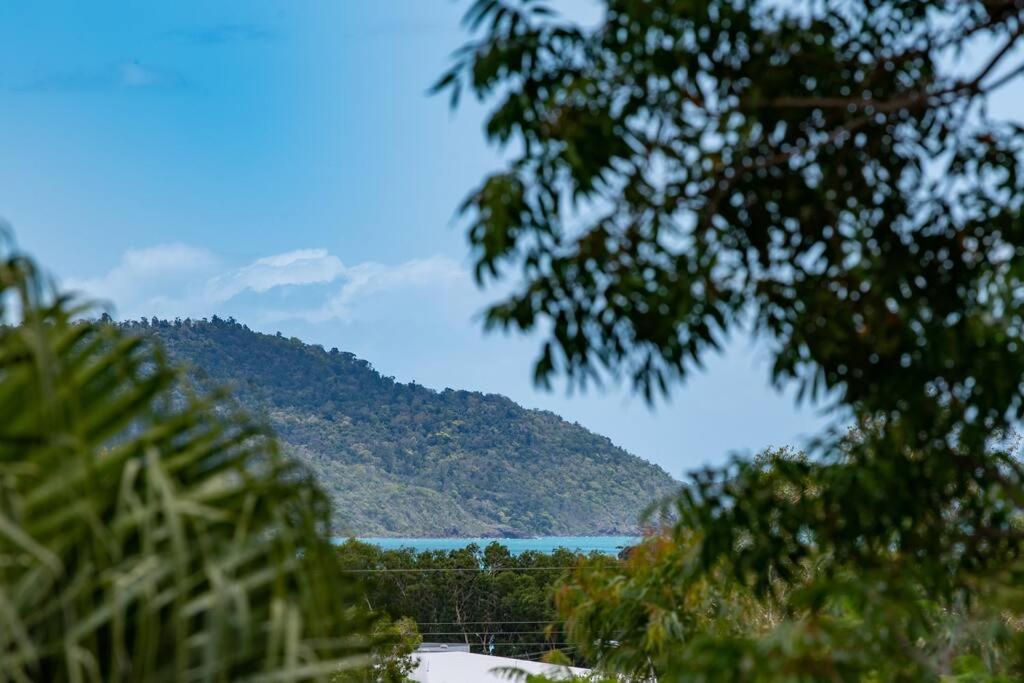 Shelby On Eshelby * Airlie Beach