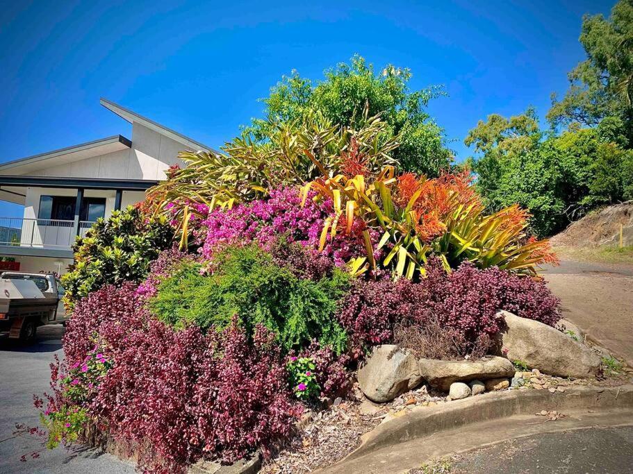Apartamento Whitsunday Dreams Airlie Beach