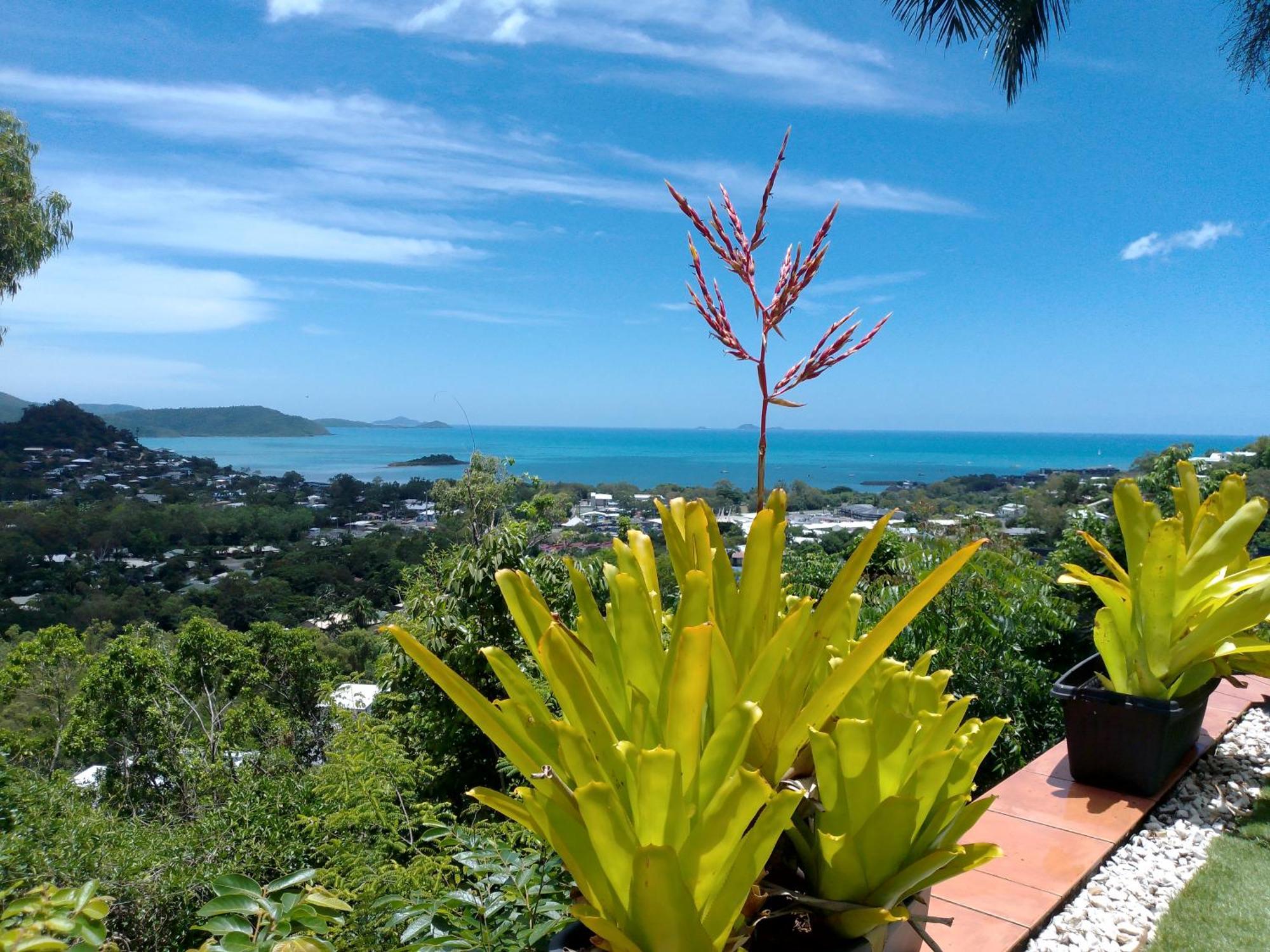Yachtsmans Paradise, Whitsundays Airlie Beach