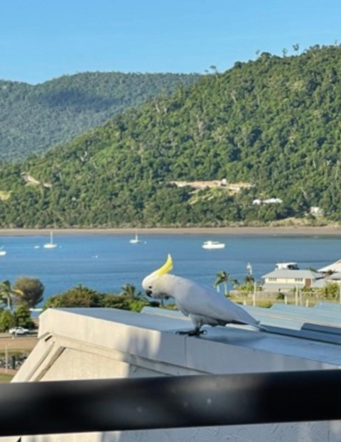 Ocean View Pools And Wifi * Airlie Beach