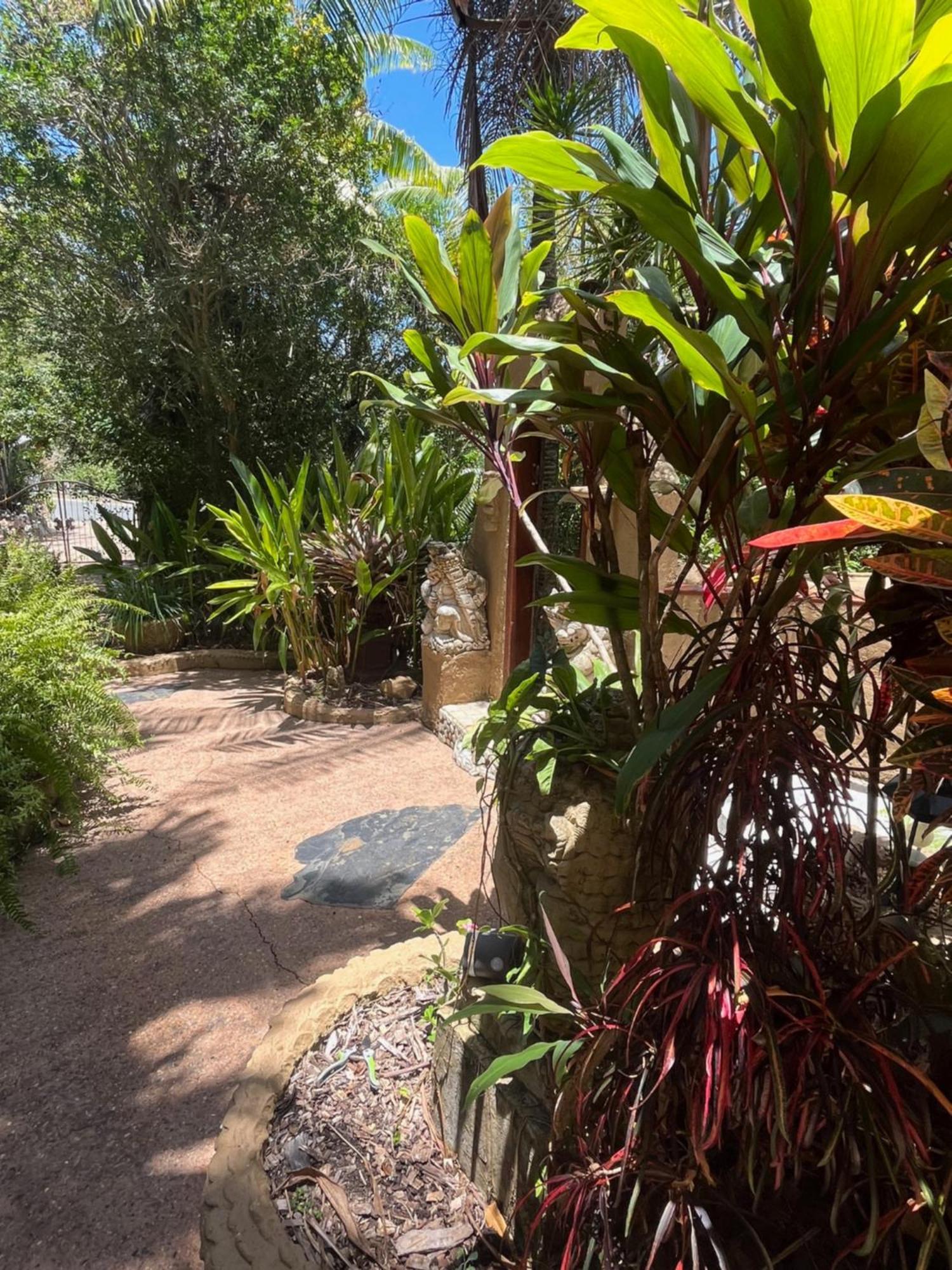 Bed & Breakfast Whitsundays Retreat Airlie Beach