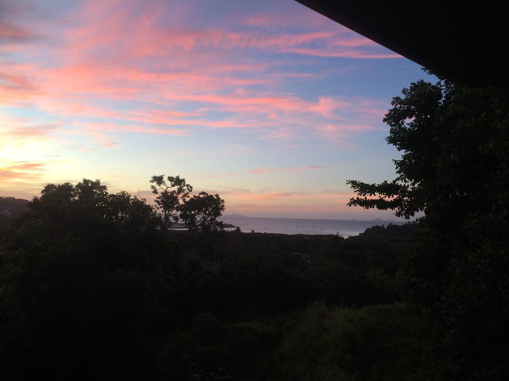 Island Dreams * Airlie Beach