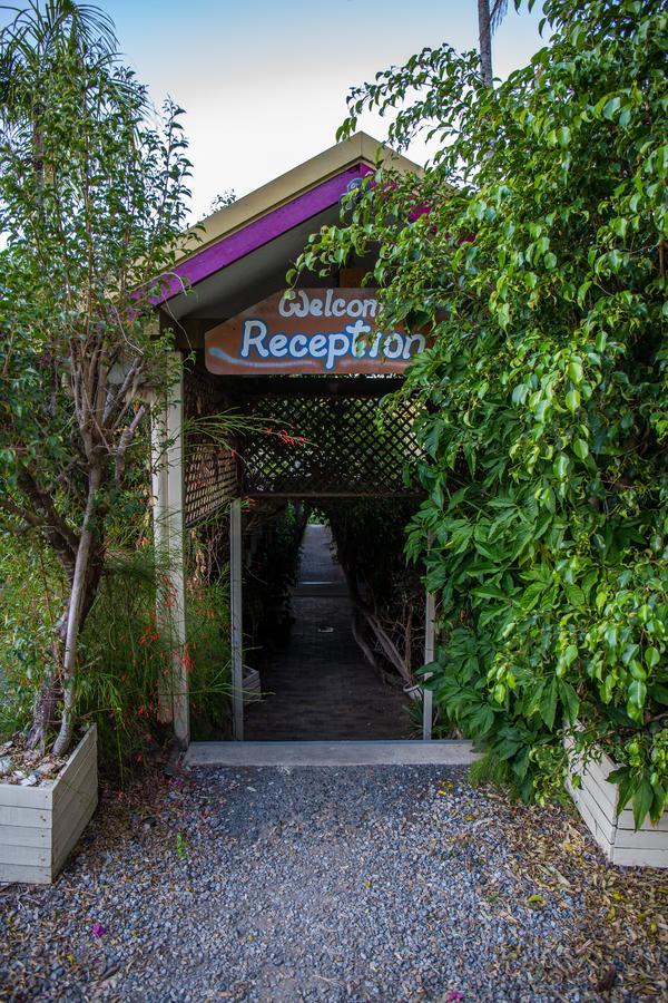 Albergue Backpackers By The Bay Airlie Beach