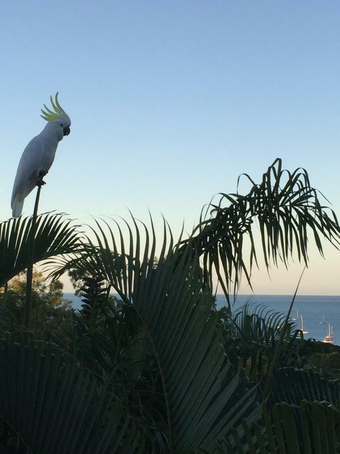 Island Views