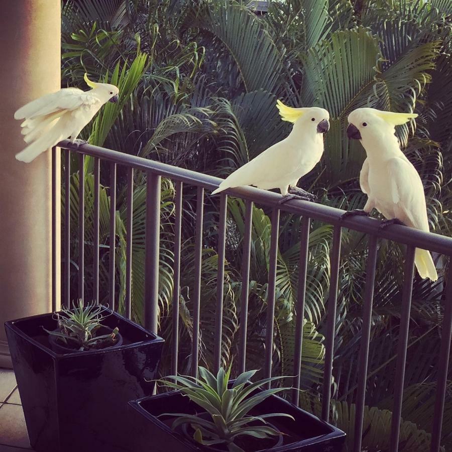 Bed & Breakfast Island Views