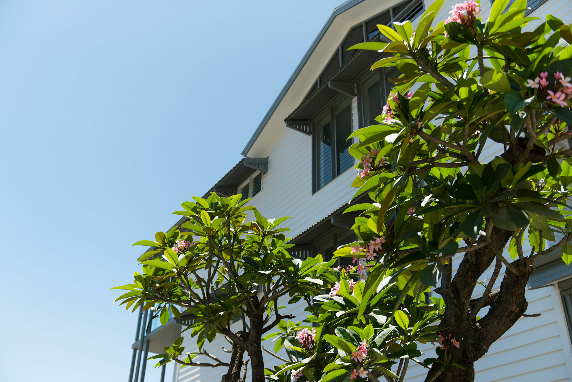 Hotel Heart Hotel And Gallery Whitsundays