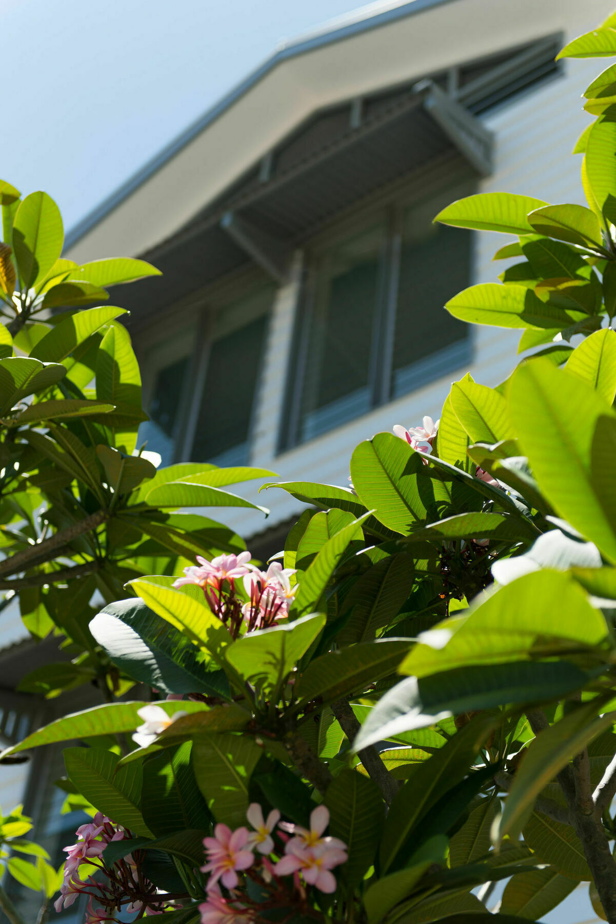 Heart Hotel And Gallery Whitsundays Hotel 4*