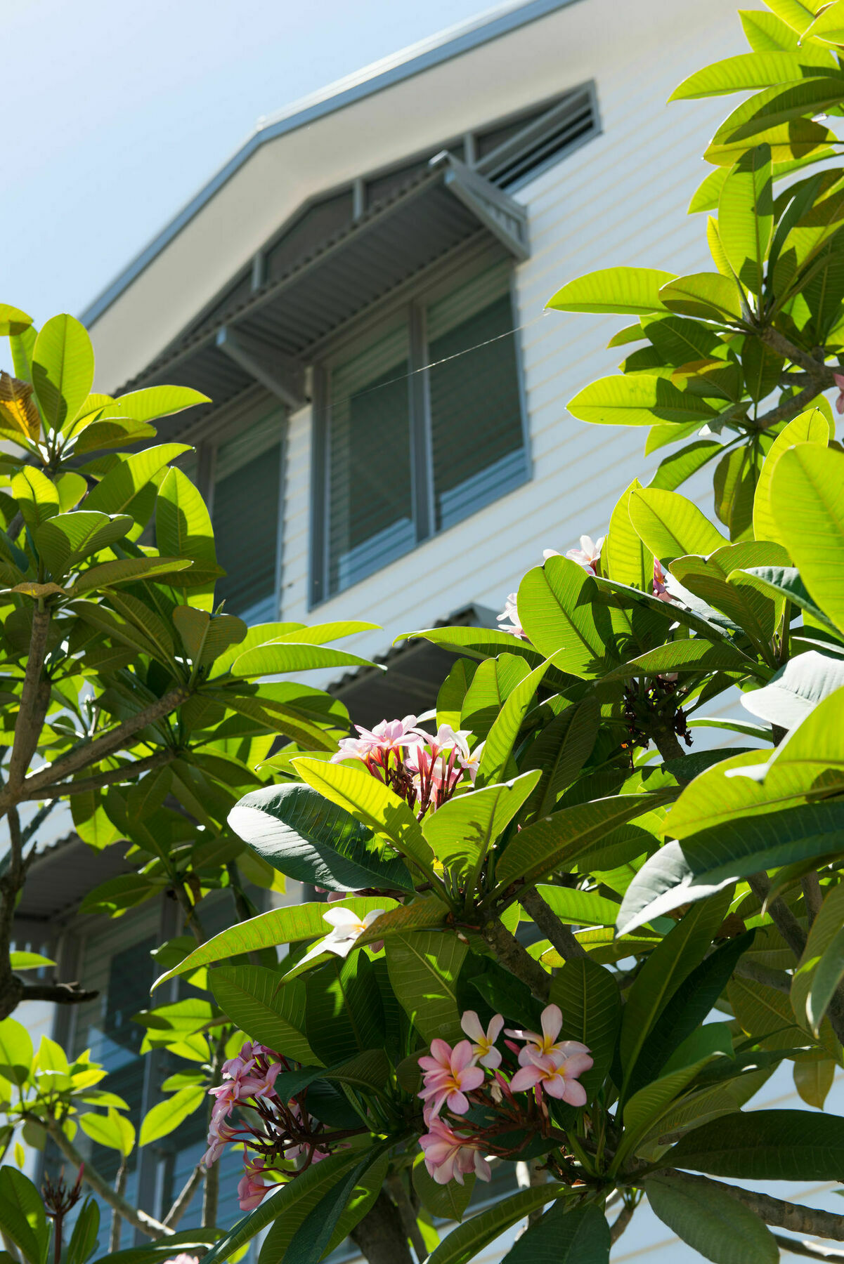 Heart Hotel And Gallery Whitsundays Airlie Beach
