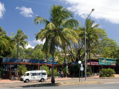Koala Airlie Beach