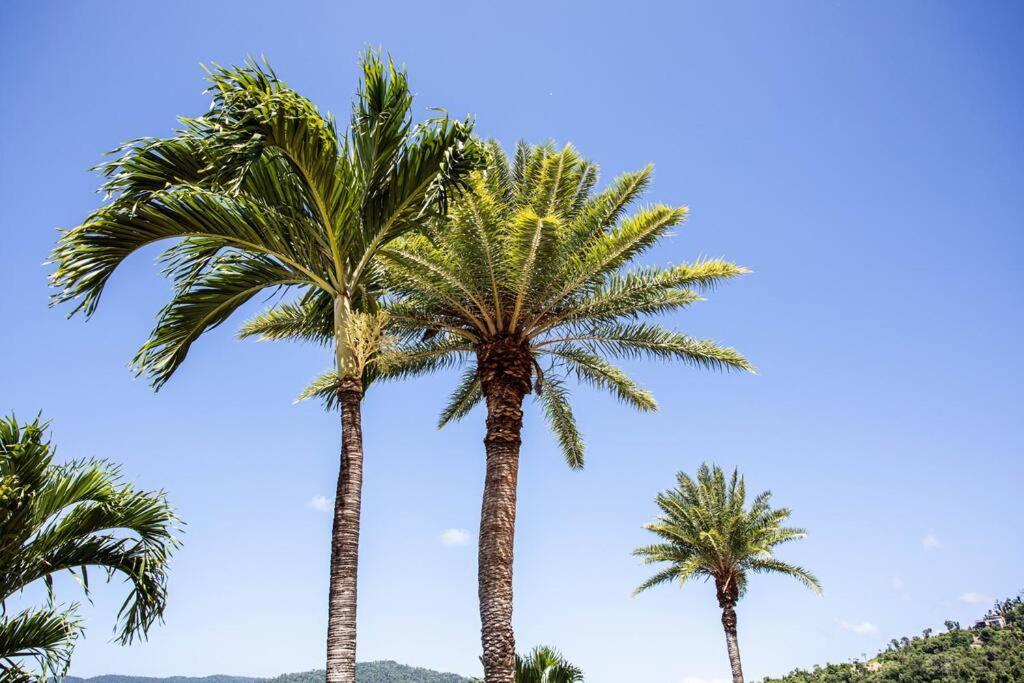 Star View 9, Pool, Wifi, Sleep 4, Views In Airlie *
