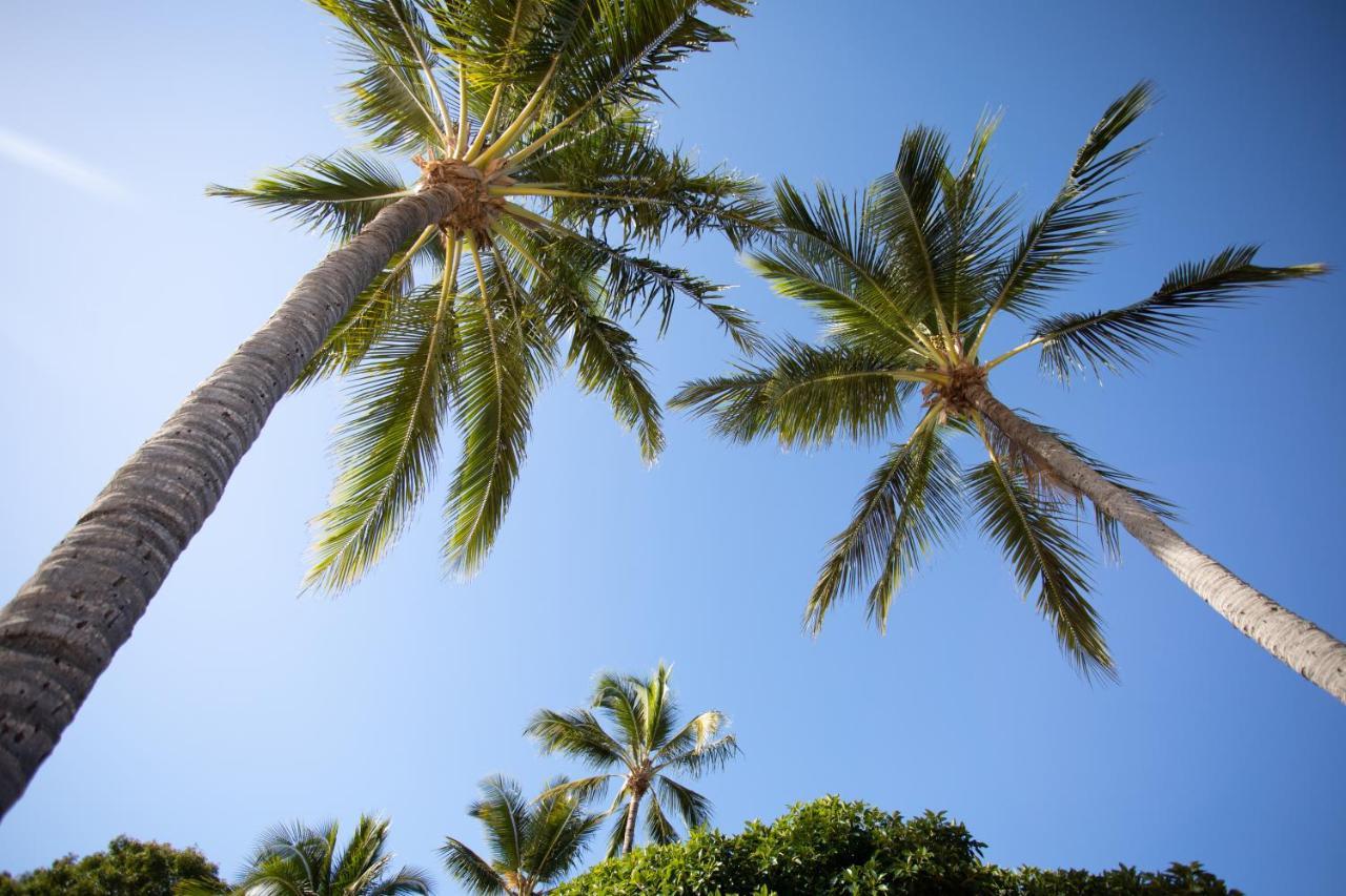 Paradise Palms Close To Beach, Wifi, 2 Bedrooms Apartment