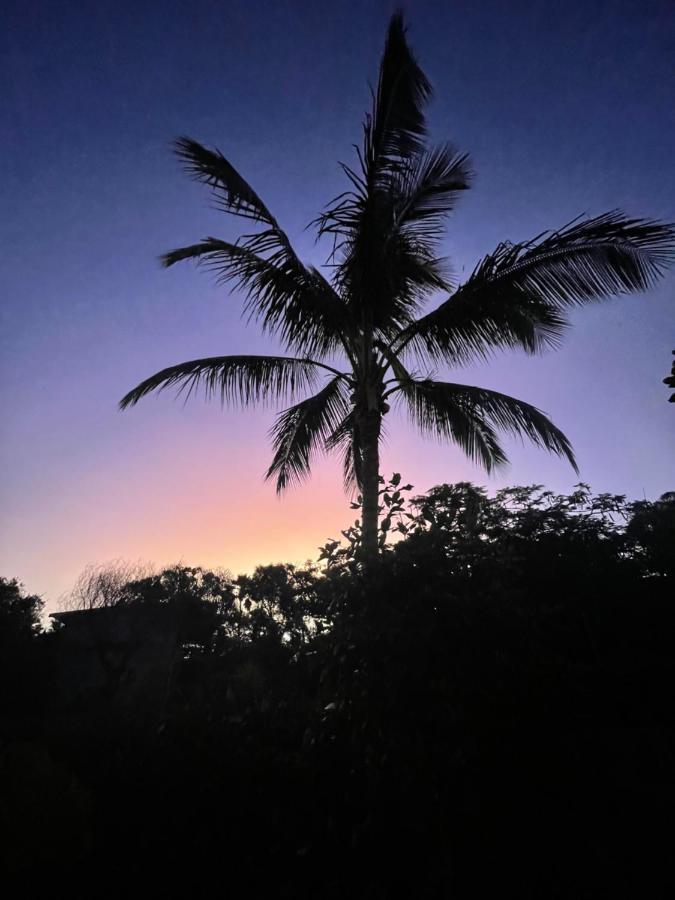 Paradise Palms Close To Beach, Wifi, 2 Bedrooms Apartment Airlie Beach