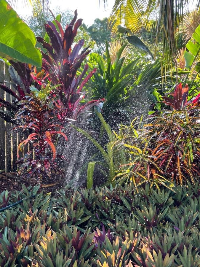 Paradise Palms Close To Beach, Wifi, 2 Bedrooms Apartment