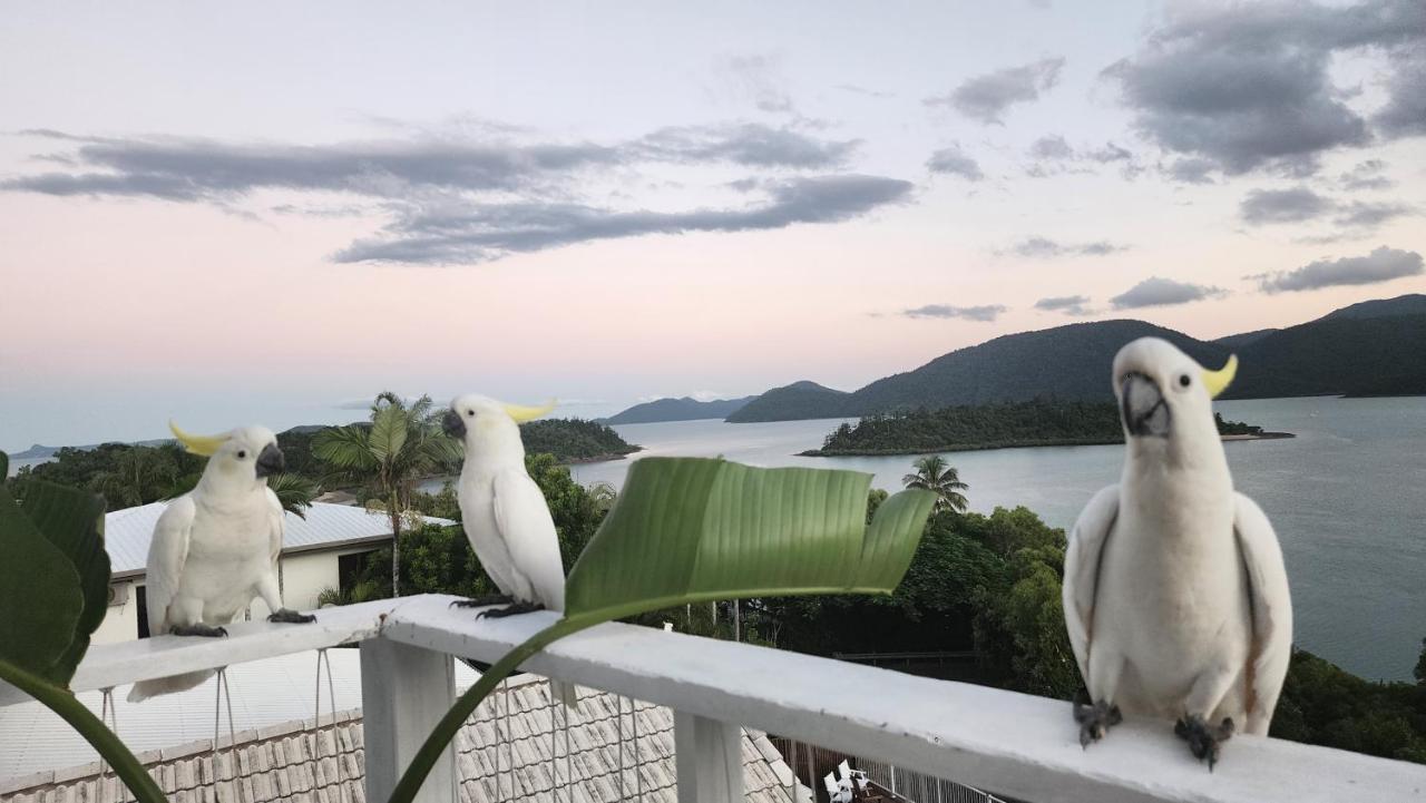 The Haven View - Airlie Airlie Beach