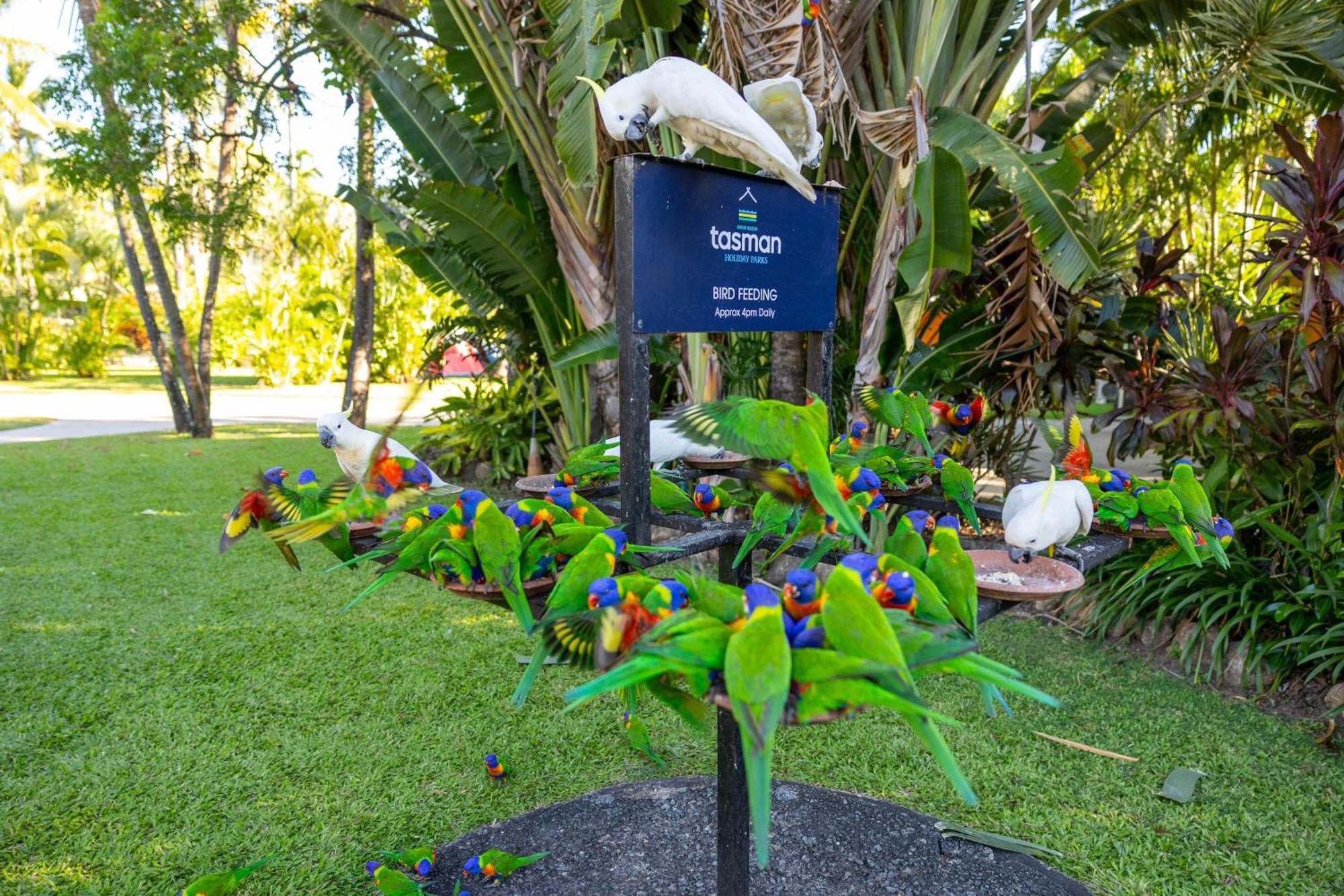 Holiday park Tasman - Airlie