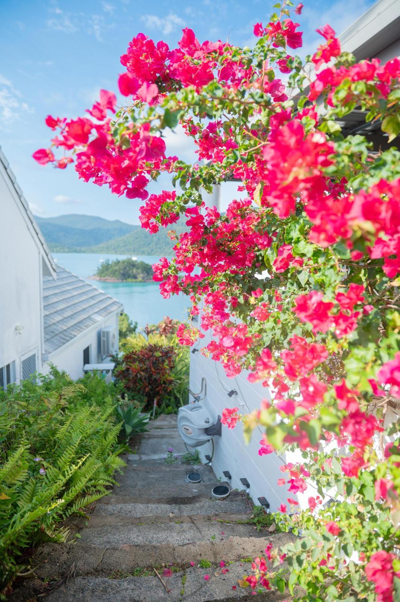 Guest house The Haven View - Airlie