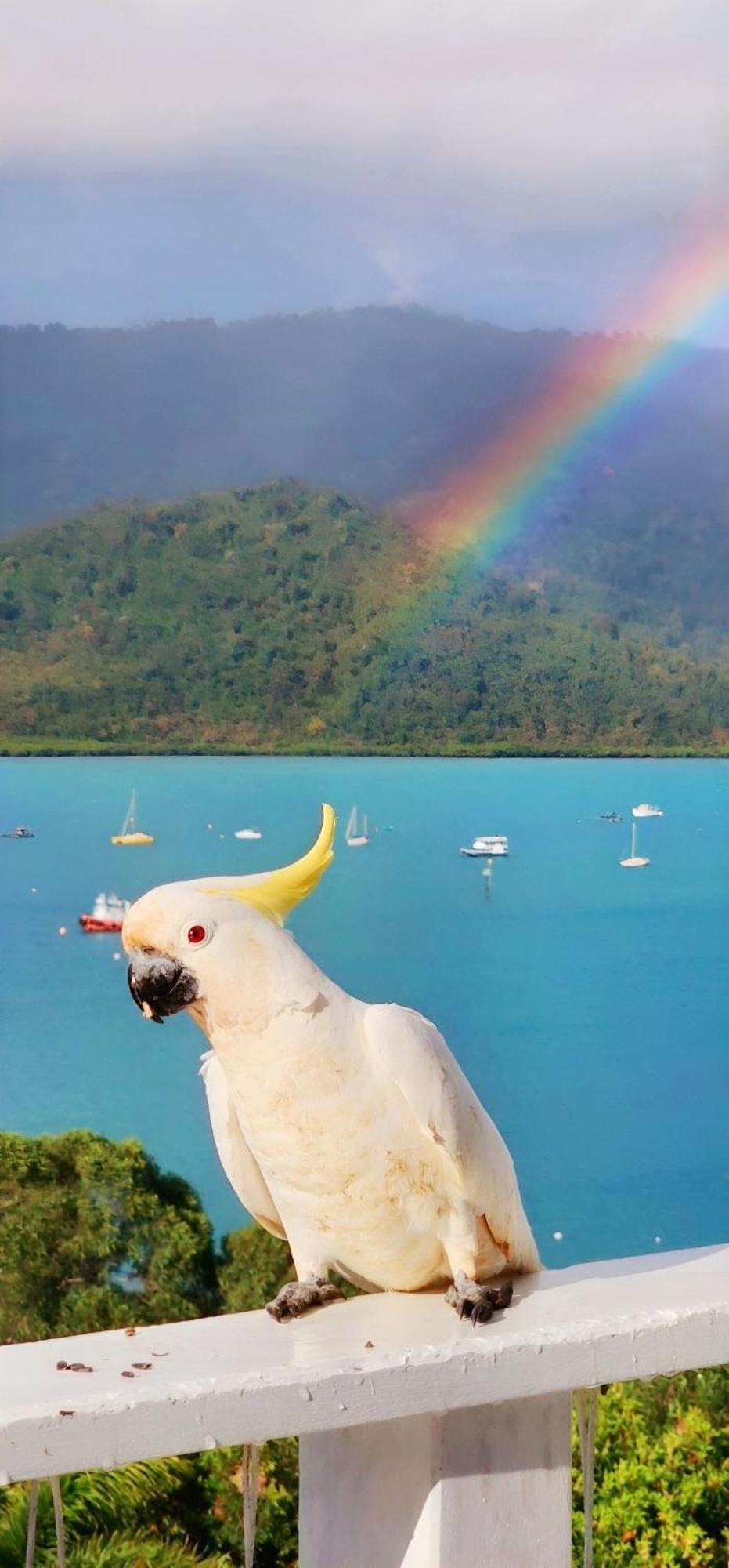 The Haven View - Airlie * Airlie Beach
