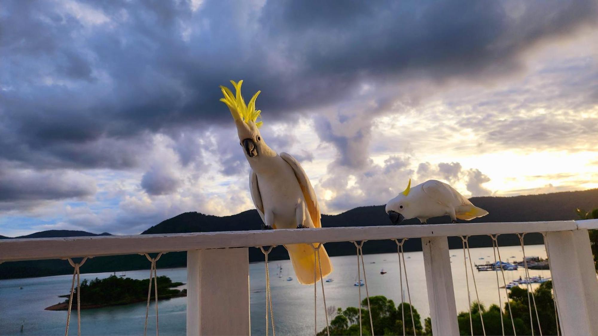 The Haven View - Airlie Airlie Beach