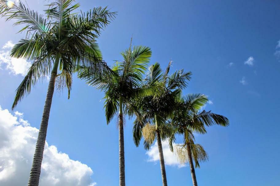 Apartamento Modern Front Airlie Beach
